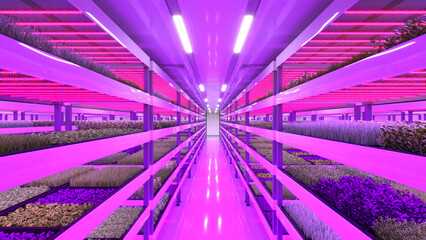 Indoor vertical farm. Hydroponic microgreens plant factory. Plants grow with led lights. Sustainable agriculture for future food. 3d illustration.