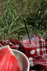 Picnic with watermelon on the shore of the pond
