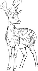 Deer vector black and white line drawing