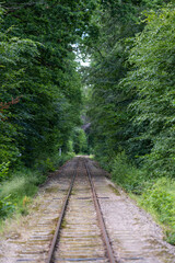 Looking down a straight old railway line though a forest.