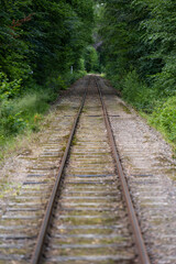 Fototapeta premium Looking down a straight old railway line though a forest.