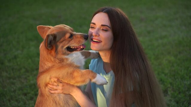 4k video Welsh Corgi Pembroke dog kiss his girl owner on the grass. Lifestyle with domestic playful pet. Young woman hug lovely Corgi dog and smile outdoor.
