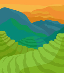  tea plantation, landscape of mountains, tea fields,  colorful mountains