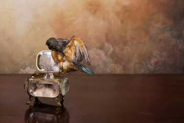 Natura su scatola di cristallo antica