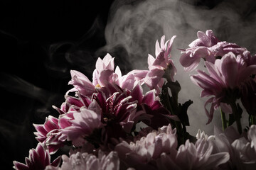Bouquet of chrysanthemums on a black background with smoke. Pink gerbera in white with copy space....
