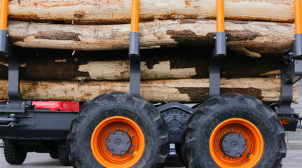 Large logs close-up on a lumber truck.