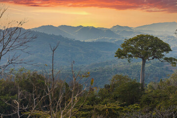 Beautiful landscape view on the cuban Island