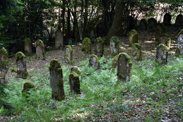 Jüdischer Friedhof in Sulzburg im Sommer