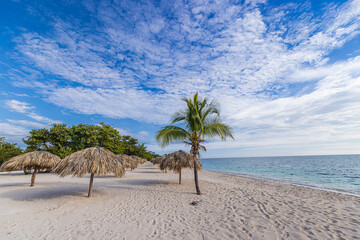 Cuba - Caribbean beach, sandy coast.