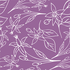 seamless floral pattern of white contour flowers on a purple background, texture, repeat pattern, design