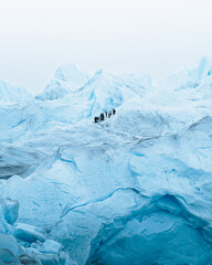 Ice Trekking on glacier - obrazy, fototapety, plakaty