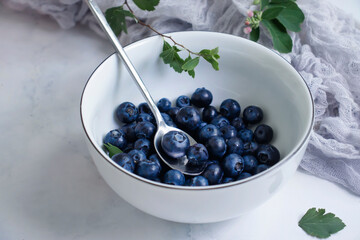 Plate with fresh blueberries on a light background