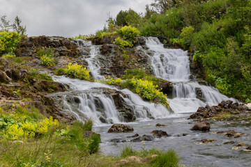 Fototapeta na wymiar Waterfall in the forest