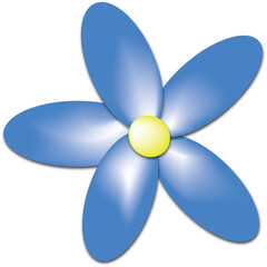 Colorful Daisy Flowers