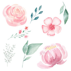 Set of hand painted pink watercolor flowers and greenery leaves.