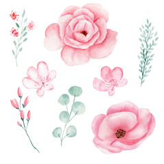 Set of hand painted pink watercolor flowers and greenery leaves.