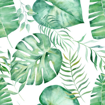 Watercolor seamless pattern with tropical leaves: palms, monstera. Beautiful allover print with hand drawn exotic plants. © tanialerro