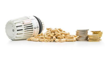 Wooden pellets, coins money and thermostatic valve head isolated on white background. Biomass -...