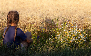 A girl with pigtails sits in a wheat field near daisies of flowers.