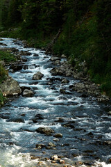 Rocky rapids of the Multa River in the Katunsky Reserve of Altai