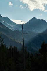 The peaks of the Altai Mountains in a blue haze in the Katunsky Reserve