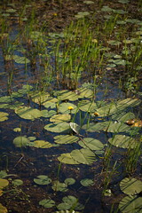 Presquile Provincial Park in Ontario, Canada. 