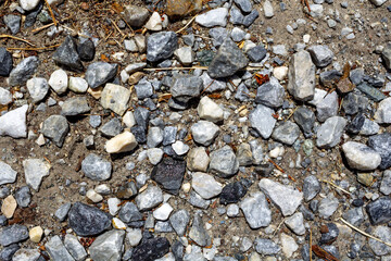 up-close gravel road and rock