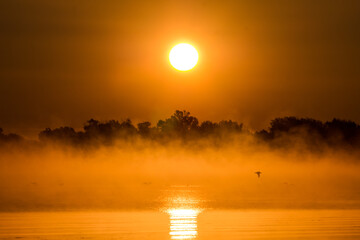 Fototapeta premium The setting sun against the backdrop of a soaring river mist