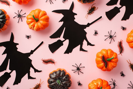 Halloween spooky decorations concept. Top view photo of witch silhouettes pumpkins insects spiders cockroaches and centipedes on isolated pastel pink background
