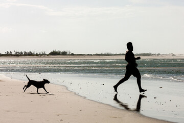 Playing with dog on the beach