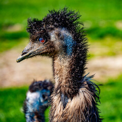 OLYMPUS DIGITAL CAMERA © Rafa