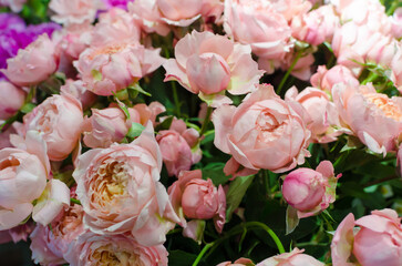 light pink rose flowers on a shop window