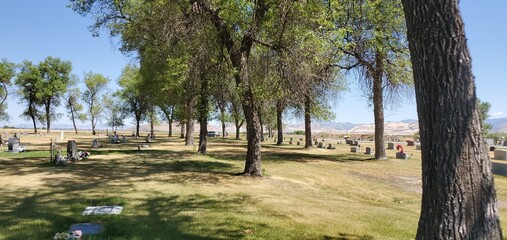 Trees in the cemetery, Lewiston Cemetery, Utah