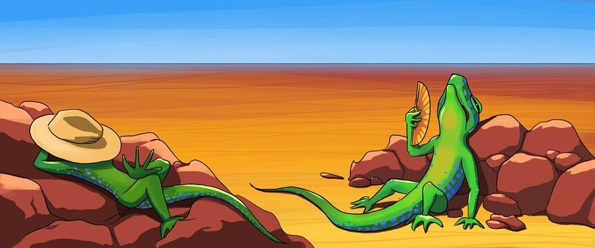 Lezard during heat wave
