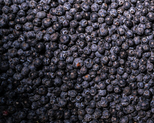 blueberries