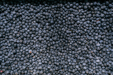 blueberries