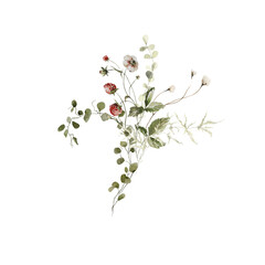 Watercolor floral bouquet. set of greenery, wildflowers, herbs, strawberry, berries. Green leaves, field flowers isolated on white background. Botanical illustration for design, print or background