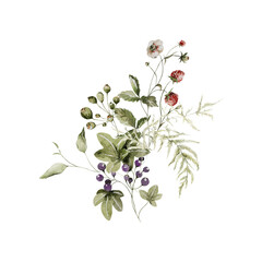 Watercolor floral bouquet. set of greenery, wildflowers, herbs, strawberry, berries. Green leaves, field flowers isolated on white background. Botanical illustration for design, print or background