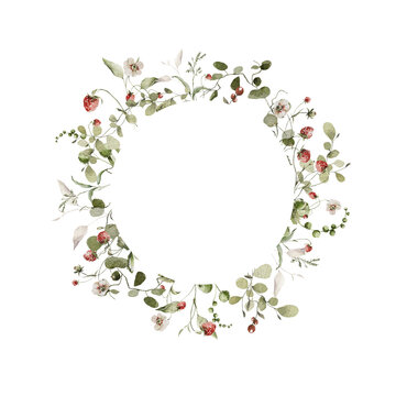 Watercolor floral wreath. Hand painted frame of greenery, wildflowers, herbs, strawberry, berries. Green leaves, field flowers isolated on white background. Botanical border for design, print