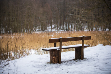 Winterwald, Wanderung im Winter im Schlaubetal, Bank mit Naturblick