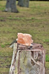 himalayan salt stone on an ancient trunk