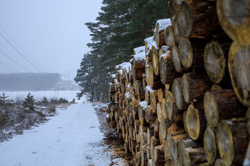 Polter, Holzstapel im Winter am Waldrand