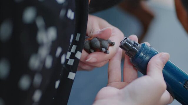woman is polishing dog claws by special pet grinder, closeup view in grooming salon or vet clinic