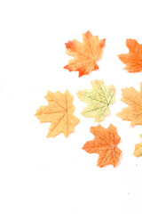 Autumn composition. Dried leaves on white background. Autumn, fall, thanksgiving day concept. Flat lay, top view, copy space