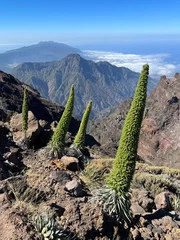 Foto op Canvas Vistas desde la cima Roques de los muchachos, La Palma, Canarias  © Iskan