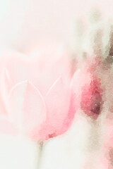 Delicate flower watercolor painting close up of pink tulips.