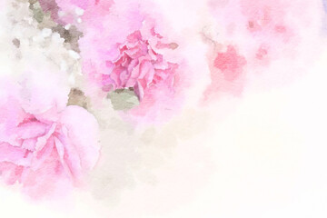Romantic flower watercolor painting close up of pink peonies.