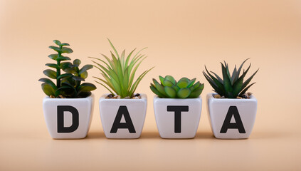 Text DATA on ceramic pots with office plants. Data science concept.