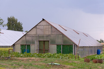 Large greenhouse for growing vegetables in a home farm - farming, vegetable garden, growing vegetables, harvesting, healthy living, ecological products, gardening tools, tillage