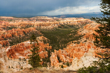 scenic view  of Fairyland Point with  pine trees  and hoodoos under cloudy sky , Bryce National...